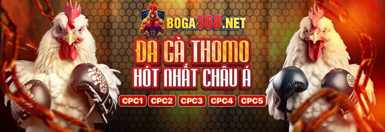 Chương trình VIP của new88 chính thức.